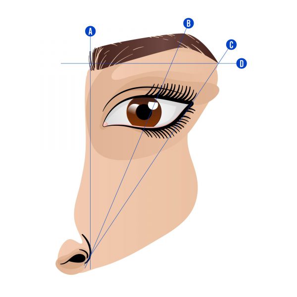 Curso de micropigmentacion y microblanding de cejas